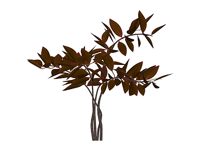 红叶植物模型