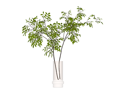 白色花瓶绿植盆栽
