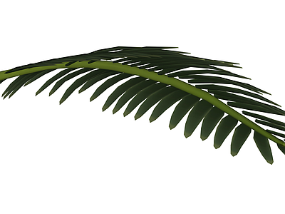 棕榈叶植物组件
