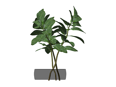 仿真绿植盆栽模型
