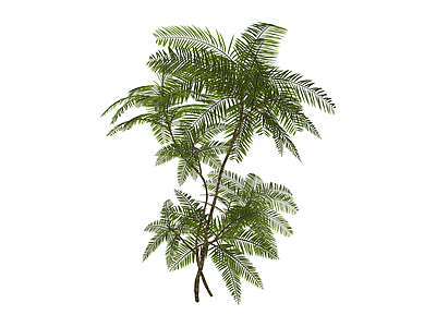 仿真蕨类绿植模型