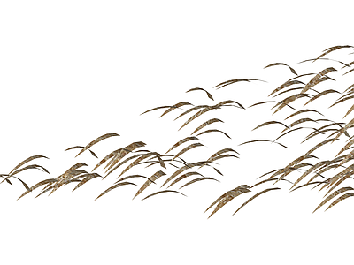 干燥芦苇/枯草组件