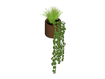 方形盆绿植组合