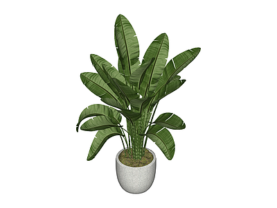 带盆仿真绿植盆栽
