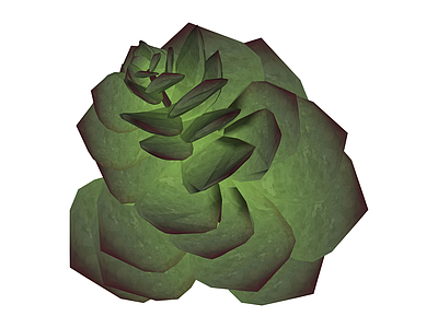 绿色多肉植物茎叶组件