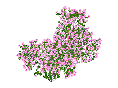 粉色花灌木绿植模型