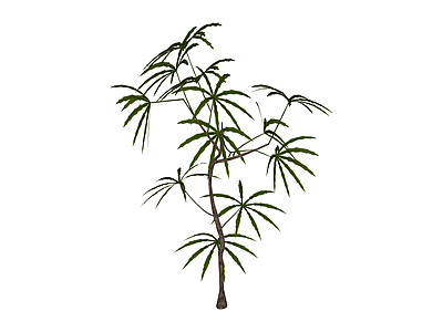 单株仿真绿植模型