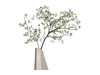 带盆绿植盆栽