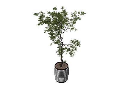 盆栽绿植模型
