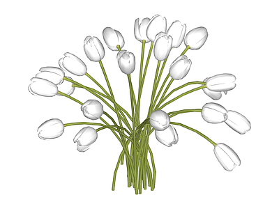 白色郁金香花束