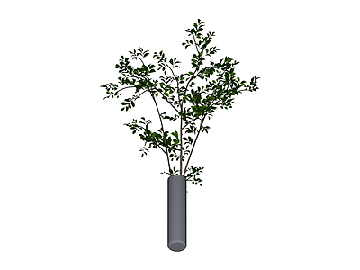 灰色花瓶插枝植物