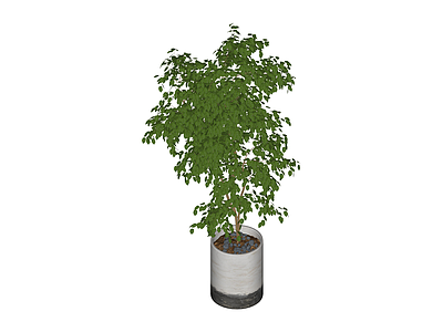 盆栽绿植模型