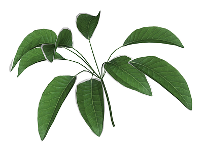 绿色植物枝叶组件