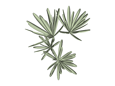 多簇棕榈叶植物组件