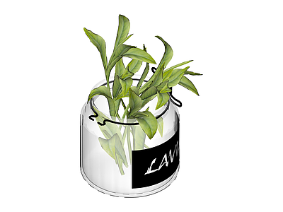 带标签玻璃植物罐