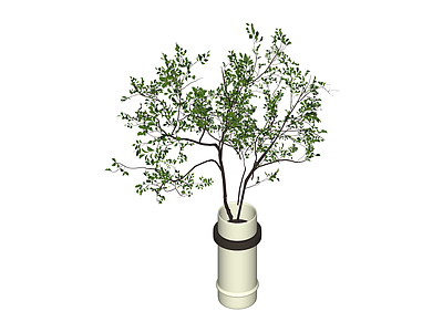 盆栽绿植模型
