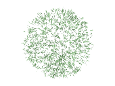 针叶植物球体