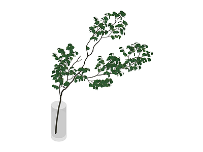 带盆绿植盆栽