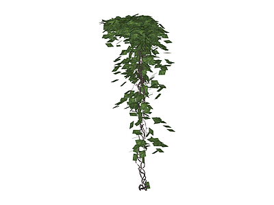 垂吊绿植组合