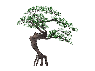 造型松树盆栽