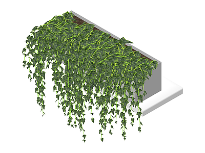 带盆垂吊绿植组合