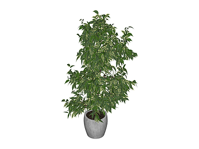 灰盆绿植盆栽模型