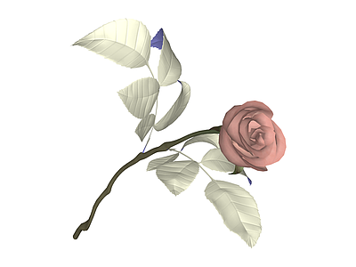粉色玫瑰花艺模型