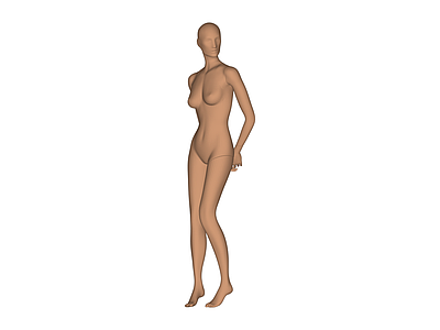 女性人体模型