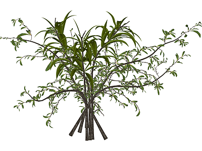 仿真绿植灌木丛