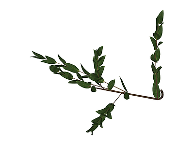 绿色枝叶植物模型