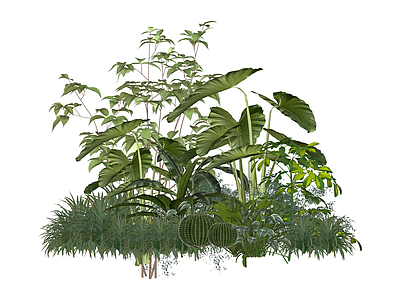组合景观绿植组