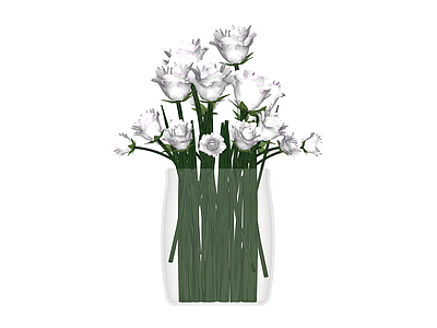 白玫瑰花束玻璃花瓶