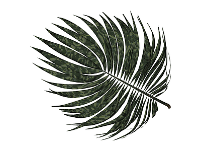仿真棕榈植物枝叶