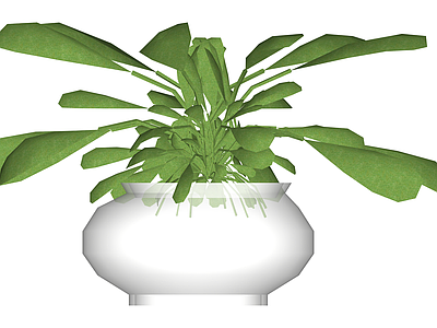 水培绿植盆栽