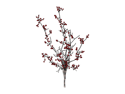 红色浆果干枝花艺