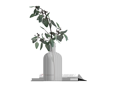 花瓶与植物组合