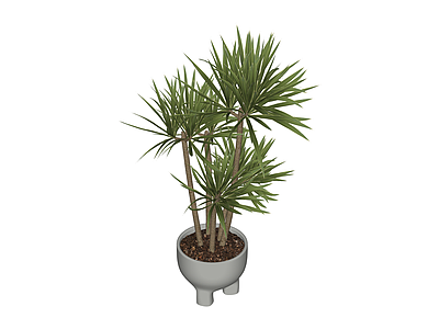 盆栽植物组合模型