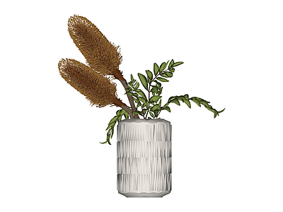 纹理花瓶配植物组合