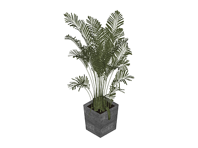 方形水泥盆绿植盆栽