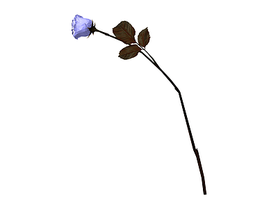 蓝色单支玫瑰花模型