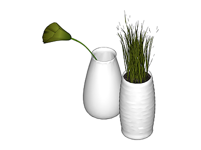 双花瓶植物组合