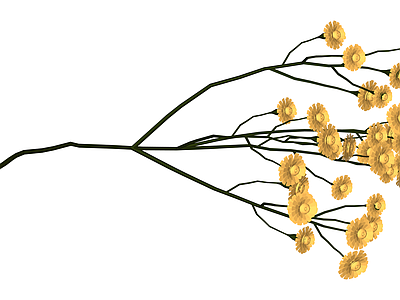 黄色花艺植物组合