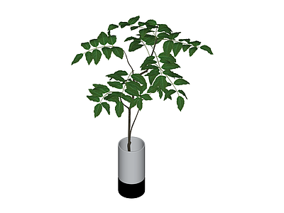 盆栽绿植模型