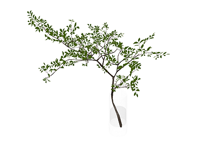 透明花瓶绿植组合