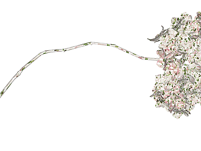 带茎干花艺组合