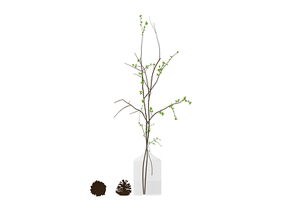 带松果花瓶植物组合