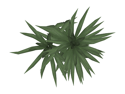 绿色丛生植物模型