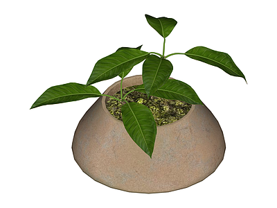 带盆绿植盆栽模型