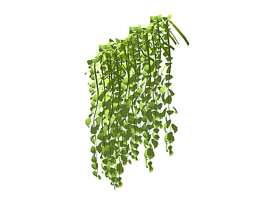 黄绿色垂吊植物组件