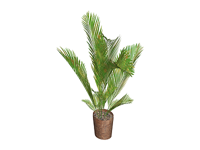 盆栽绿植模型